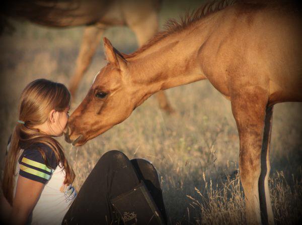 Girl with horse